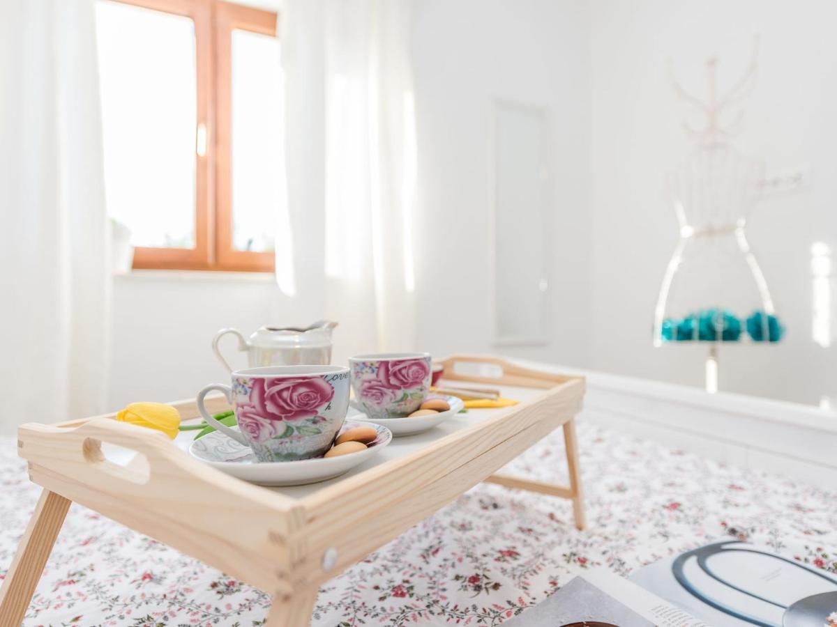 Holiday Home Velebit By Interhome Рованьска Экстерьер фото